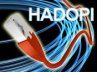 Connecteur au bout d'un efibre optique et inscription Hadopi