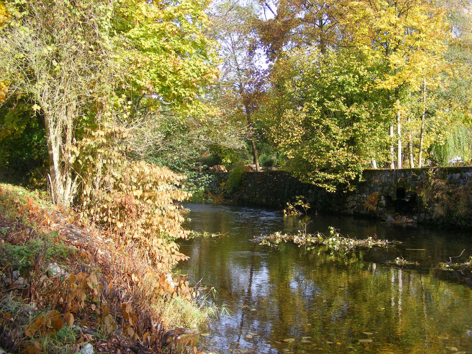 Donka avec les sonnettes pour la pêche