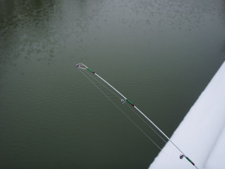rod-tip