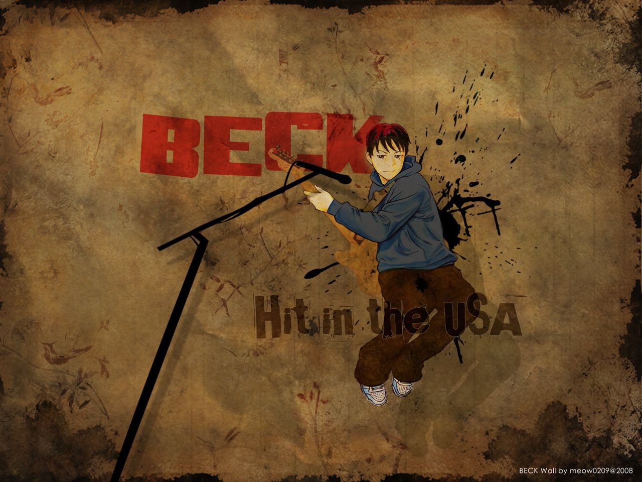 Hit_in_the_USA_by_meow2299.jpg