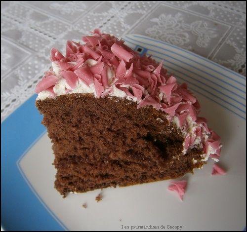 Bombe-choco-fraises3.jpg