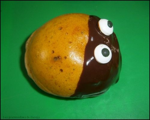 Coccinelle.jpg