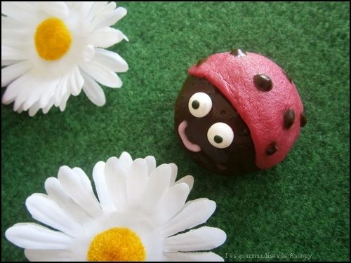 Coccinelle3.jpg
