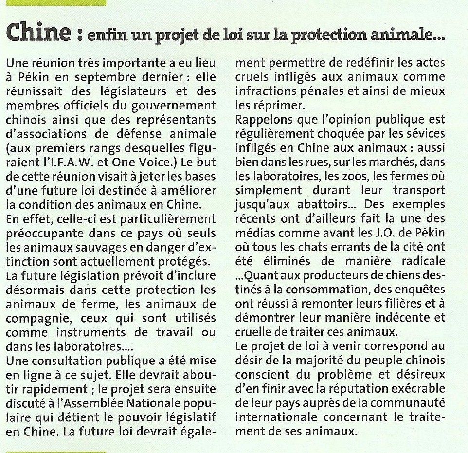 ProtectionanimaleenChinedunouveau-2.jpg