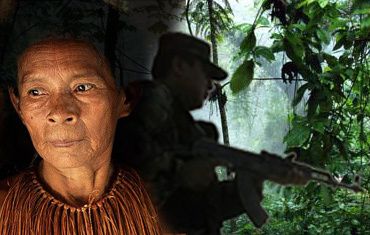 amazonie-petition-avaaz.jpg
