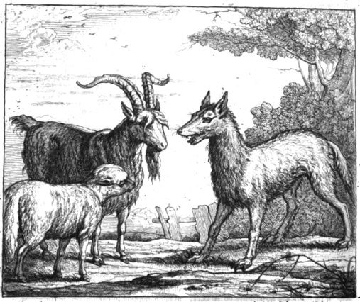 du-loup-du-bouc-et-de-l-agneau.jpg
