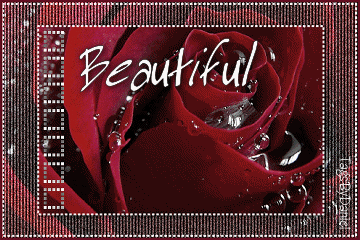 beautiful-copie-1.gif