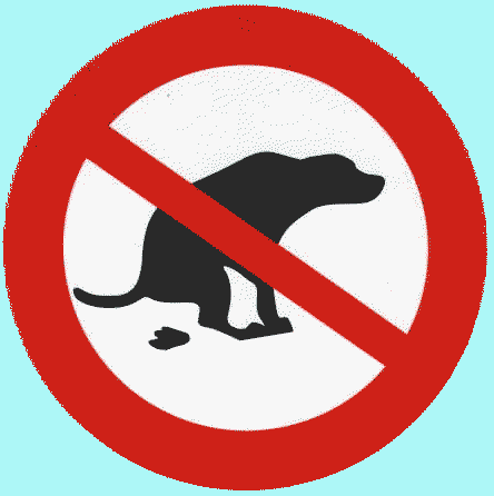 photo caca de chien photo caca de chien