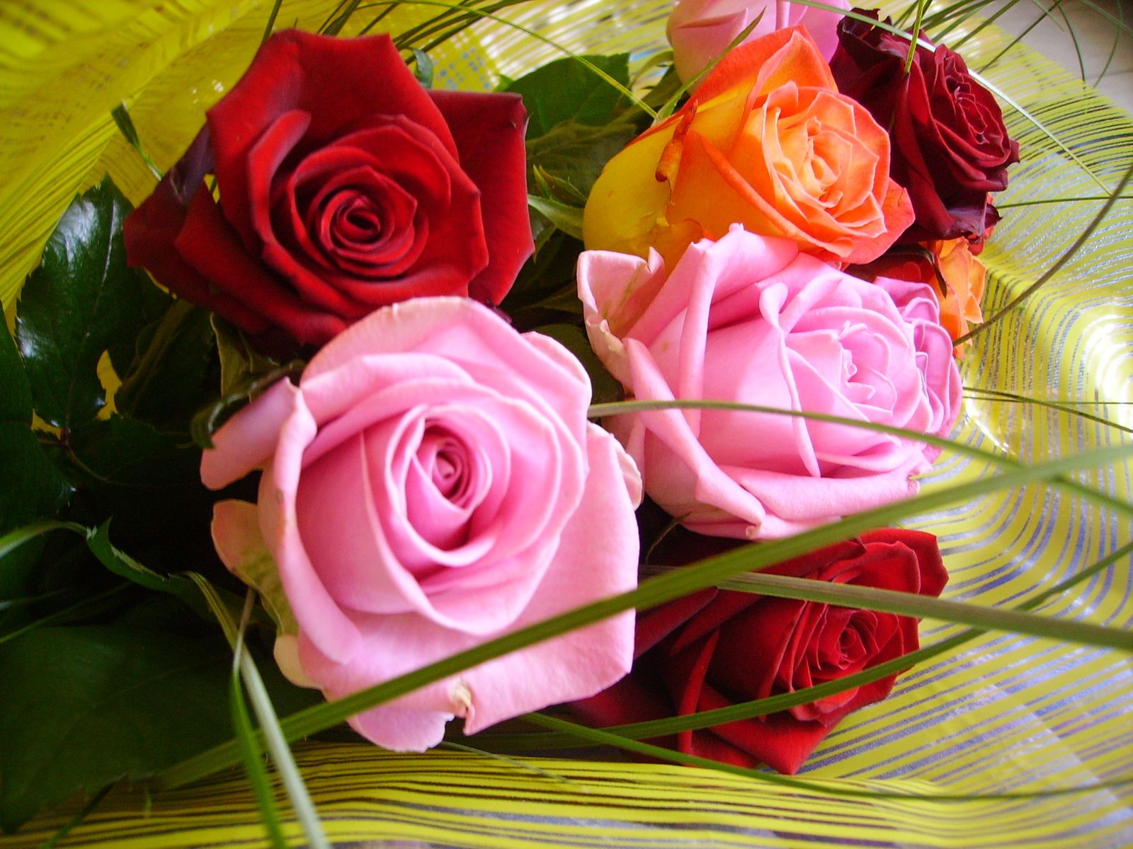 Bisous So Xxxxxxxxxxx