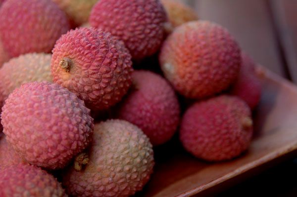 litchis litchis