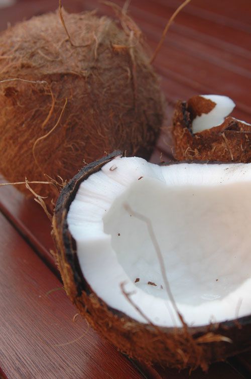 Noix de coco Noix de coco