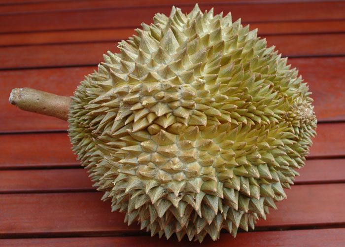Durian Durian