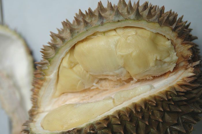 Compartiments renfermant les quartiers de durian Compartiments renfermant les quartiers de durian