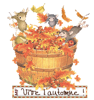 automne souris sautent dans baquet