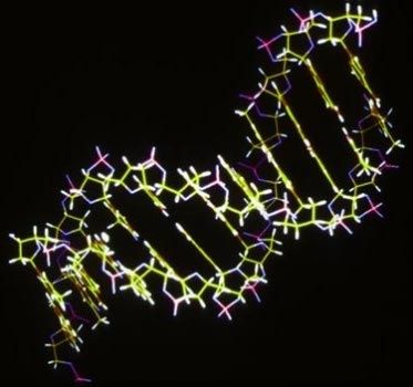 TeranesieMutation.jpg