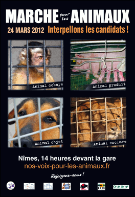 affiche