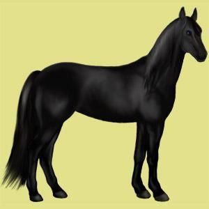 Galop1 Les robes Cheval Galop