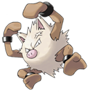 Pokemon episode 25 une rencontre mouvementee