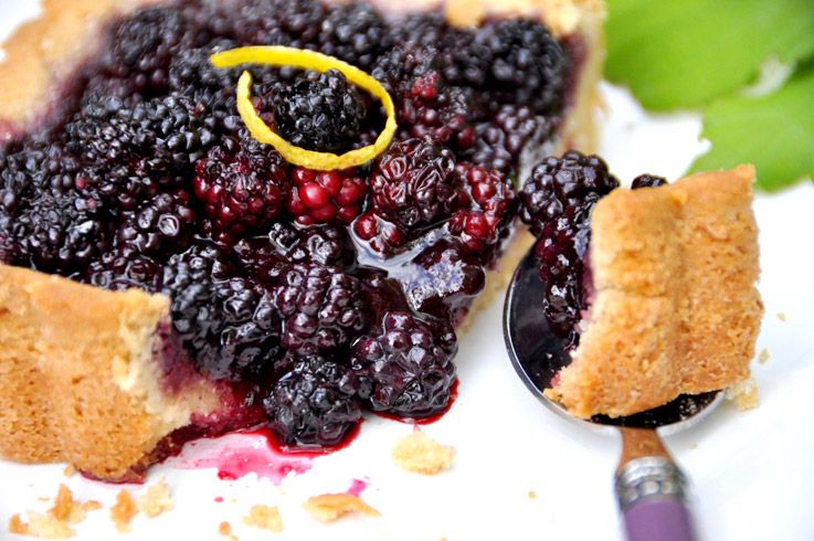 tarte_aux_mures_sauvages.jpg