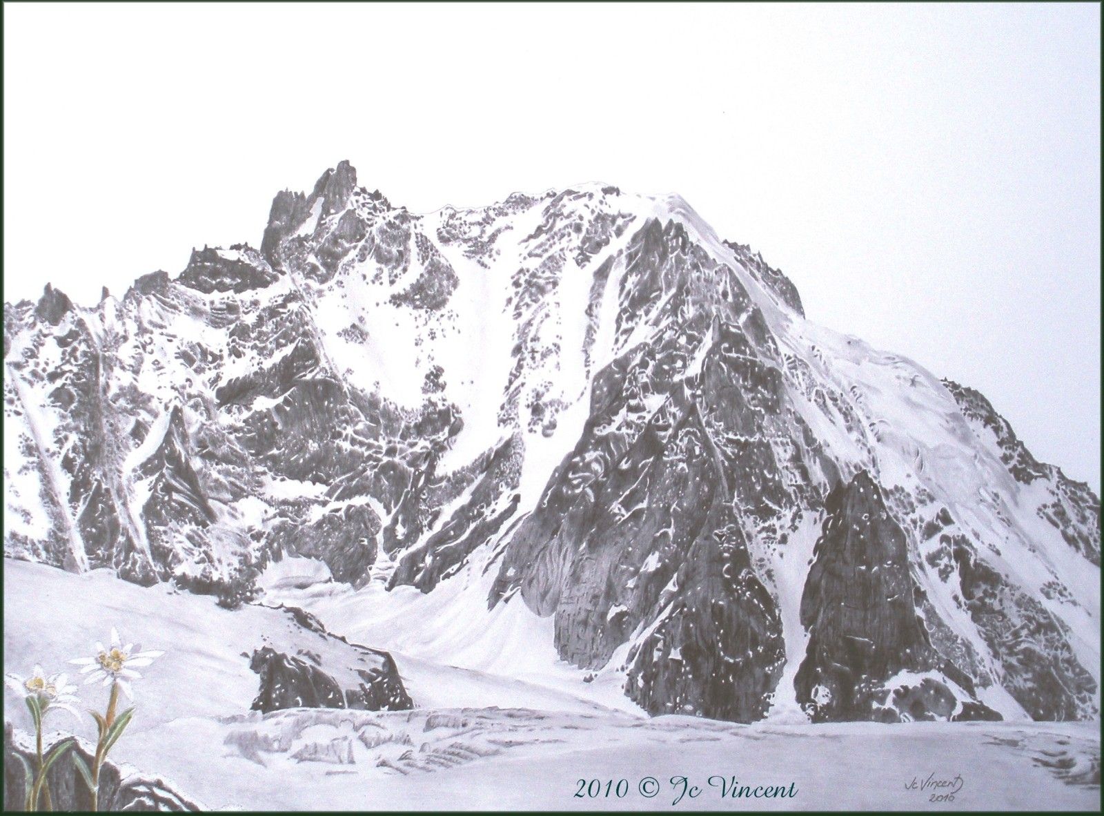 montagne edelweiss - copyright
