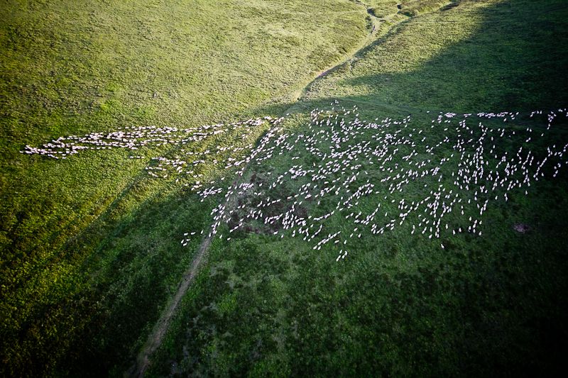 Montgolfière-Puy-de-Dôme-Photo-Anthony-Perrot (11)