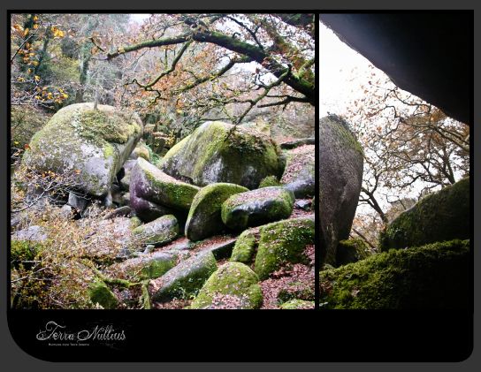 bretagne-TN-bretagne020.jpg