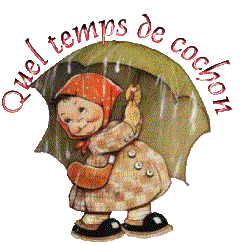 quel temps de cochon fille parapluie 2
