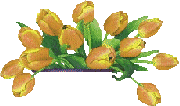 fleurs-tulipe-13.gif