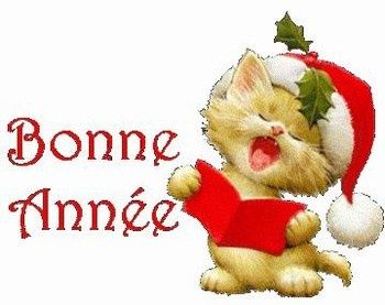 chat année