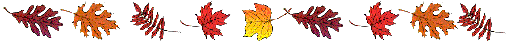 feuille5.gif
