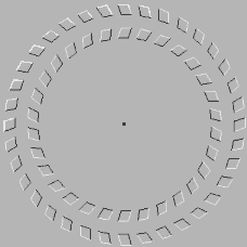 a573i2.gif