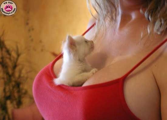Chat sexe poissy