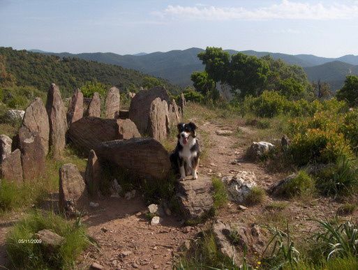 daria-dolmen.jpg