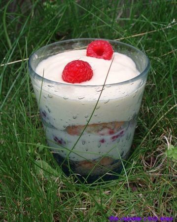 Tiramisu_framboises