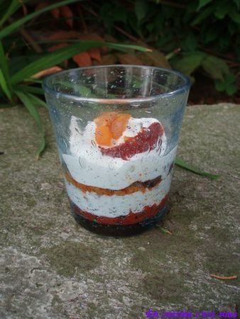 Verrine_tomates_chevre_fruits_secs_01