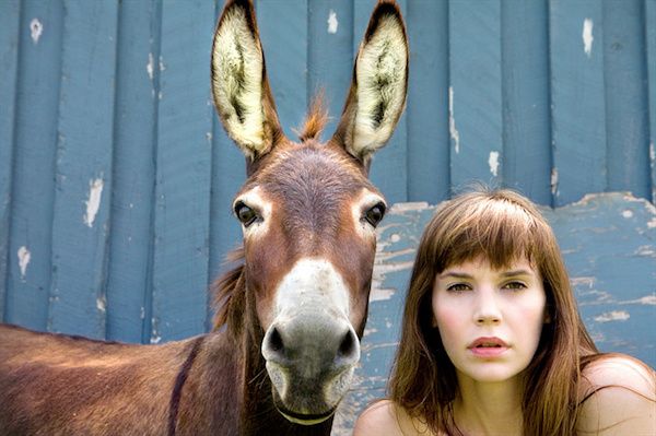 El viejo, el joven y el burro