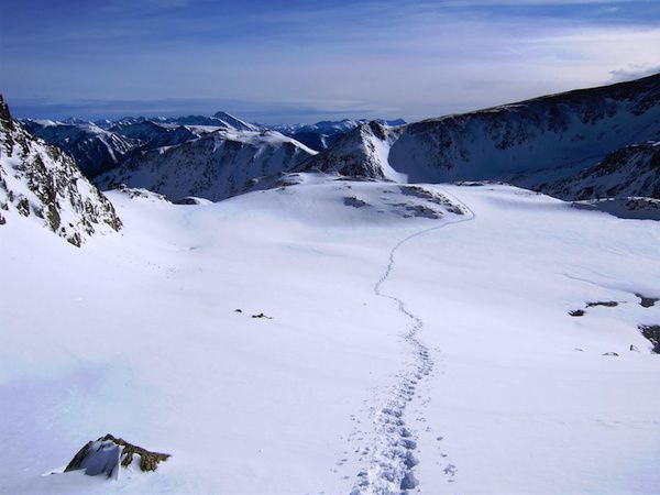 La neu