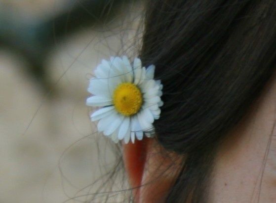 fleur.jpg