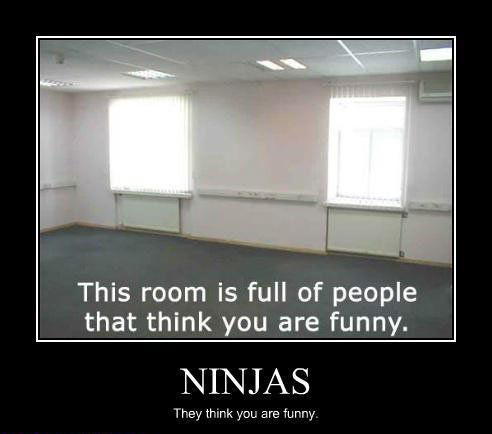 ninja_funny.jpg