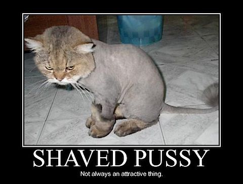 shaved_pussy.jpg