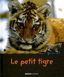 petit tigre mango jeunesse