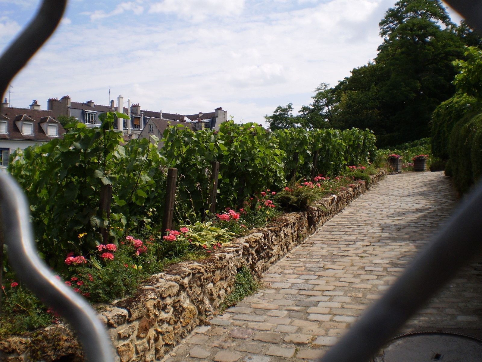rue des prostituées a gand