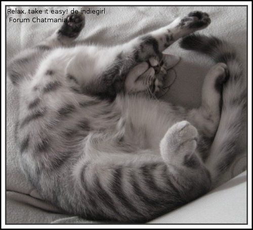 relax-indiegirl.jpg