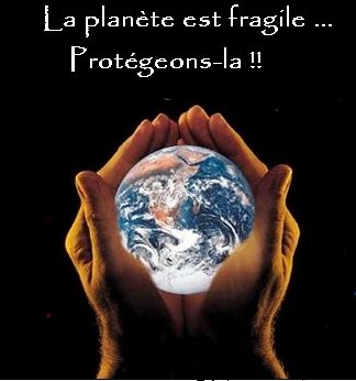 planete_ds_mains.jpg
