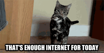 cat-enough-internet.gif