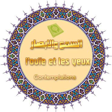 288-islamic-graphic-180648