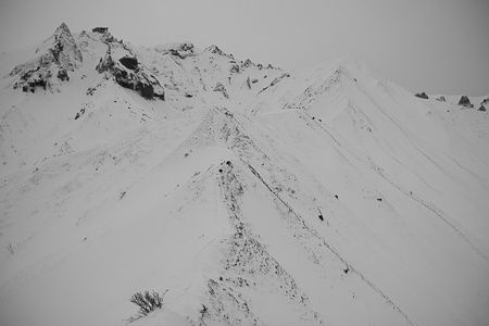 20100124-IMG 9679