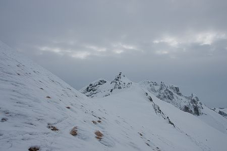 20100124-IMG 9743