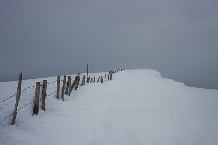20100124-IMG 9773