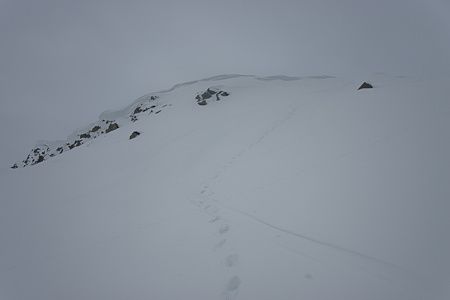 20100124-IMG 9781